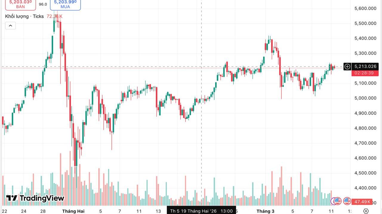 Giá vàng SJC hôm nay