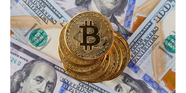 giá bitcoin hôm nay 2303